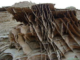 A block of boxwork sandstone near Upper Buckskin Gulch.